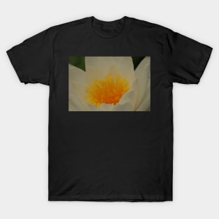 Water lily gold T-Shirt